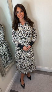 Leopard Black Collar Dress