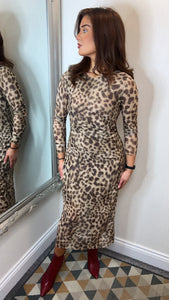 Leopard Midi Fit Dress